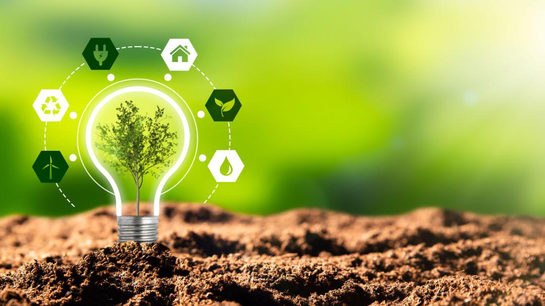 再生能源(Renewable energy)