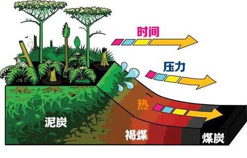 目前已知的化石燃料存量,石油約可再用40年
