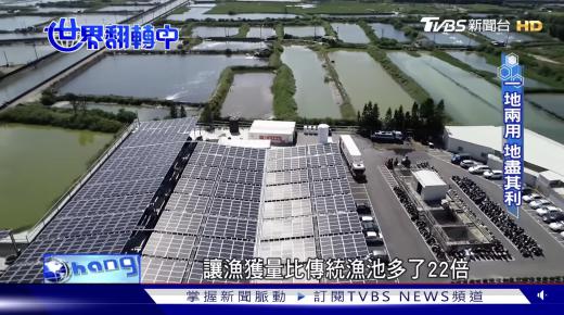 【世界翻轉中】種綠電養台灣鯛 水溫冬暖夏涼收成增22倍｜TVBS新聞